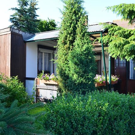 Holiday Home In Cattenstedt Harz With Garden Kültér fotó