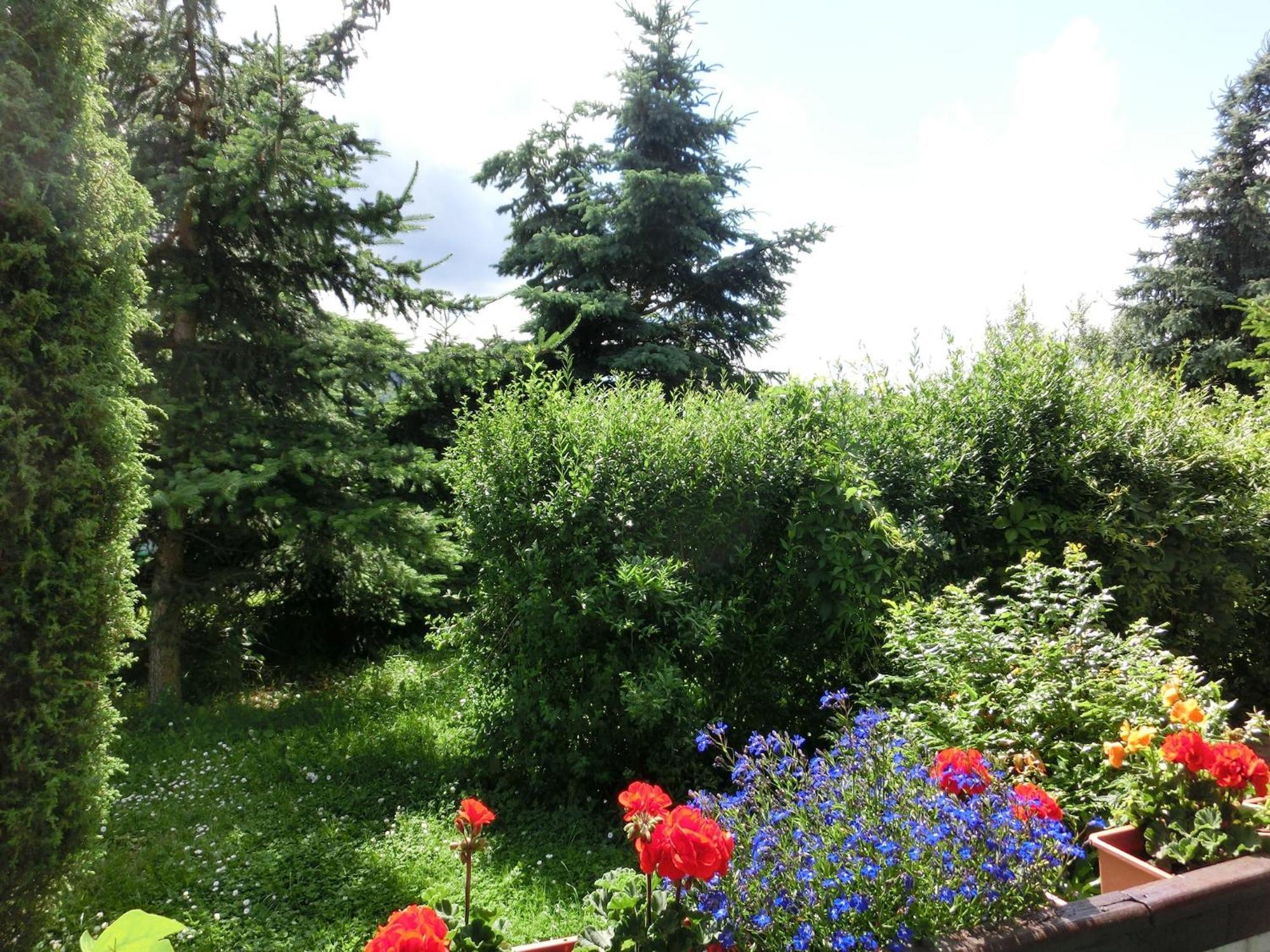 Holiday Home In Cattenstedt Harz With Garden Kültér fotó