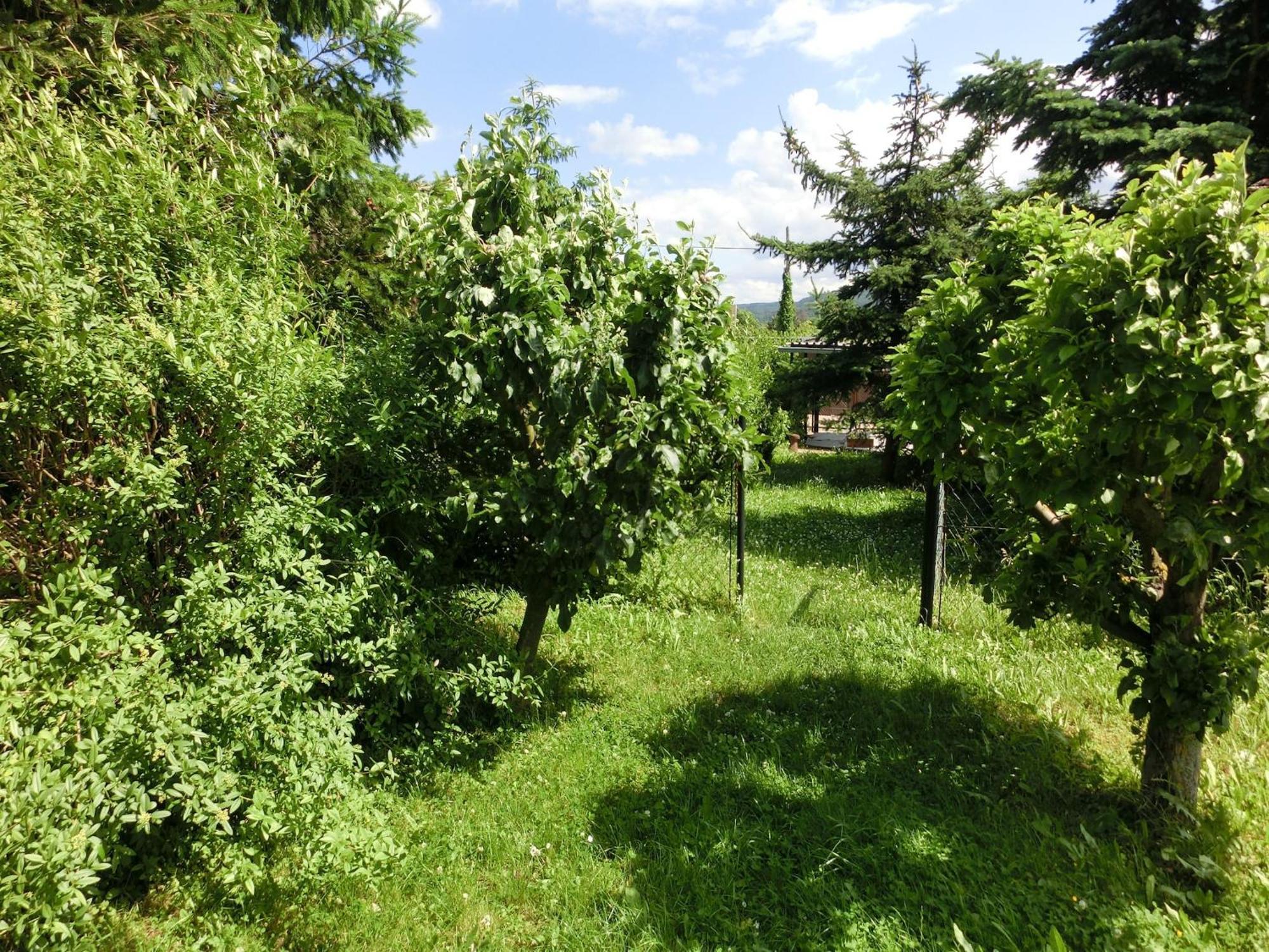 Holiday Home In Cattenstedt Harz With Garden Kültér fotó